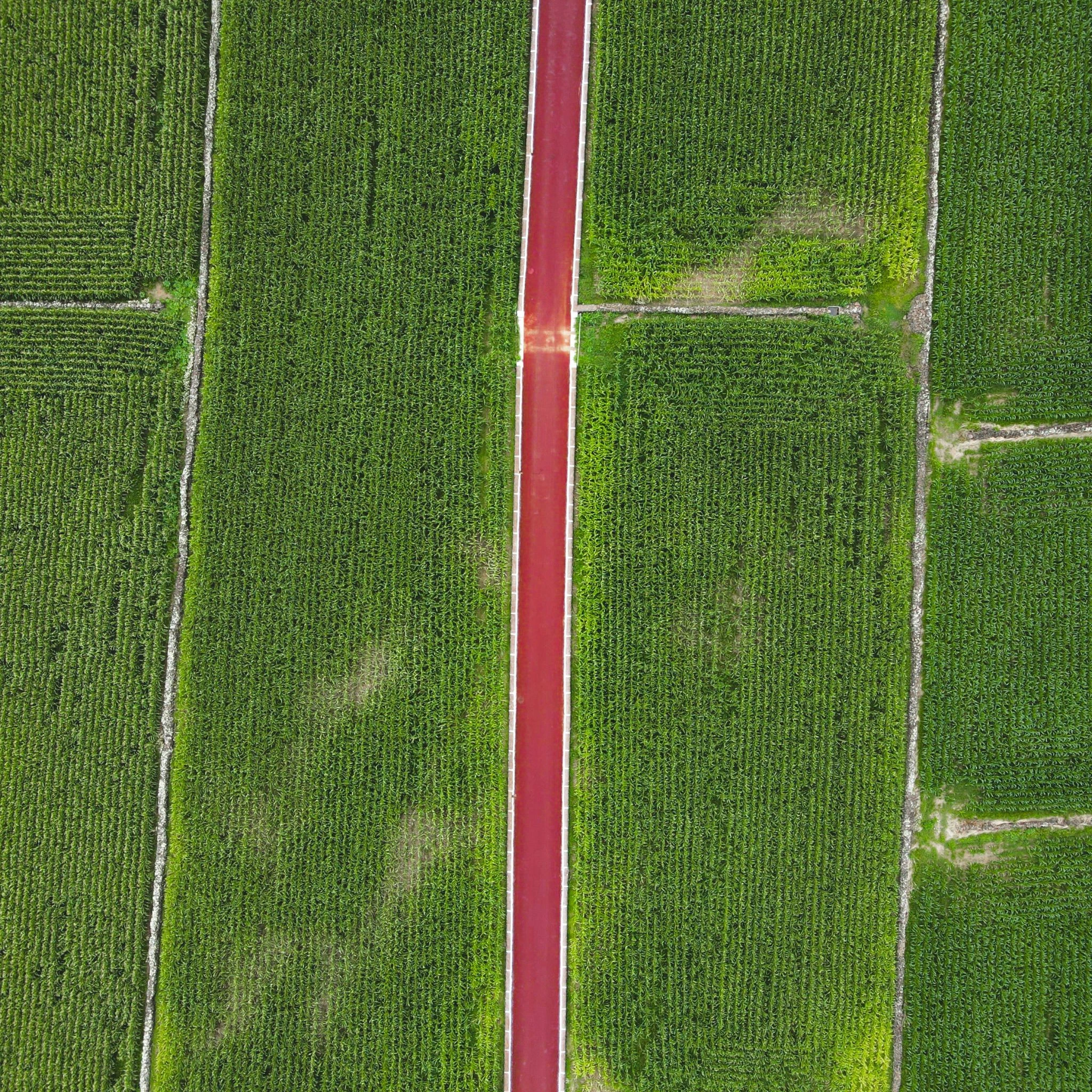 Affordable Residential Plots in Farrukhnagar, Gurgaon