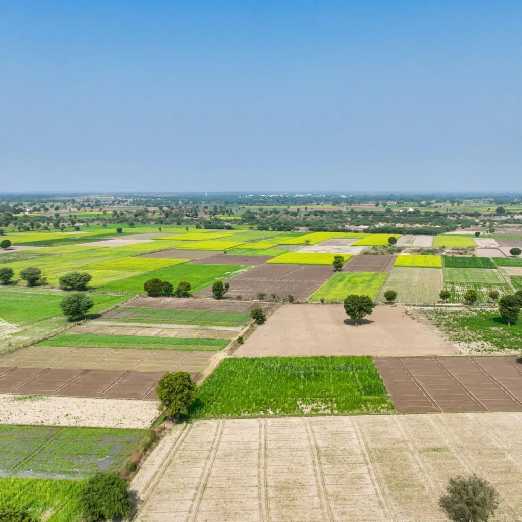 Best Residential Plots in Jhajjar – DDJAY & HUDA Guide