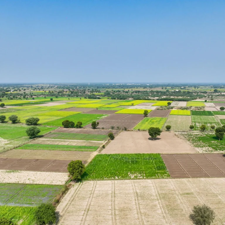 Best Residential Plots in Jhajjar – DDJAY & HUDA Guide