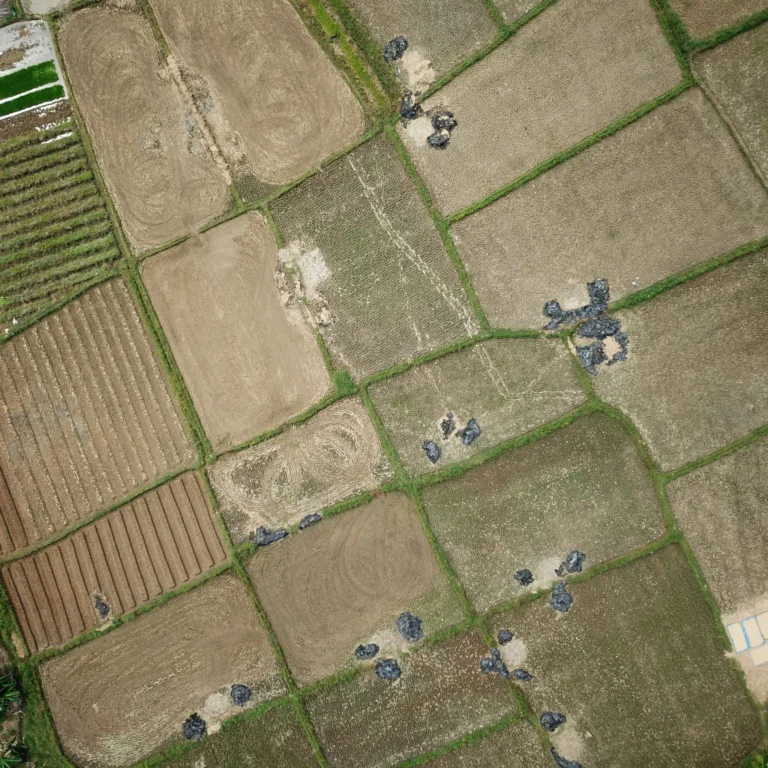 Government Approved Plots Guide: Legal Property in Haryana