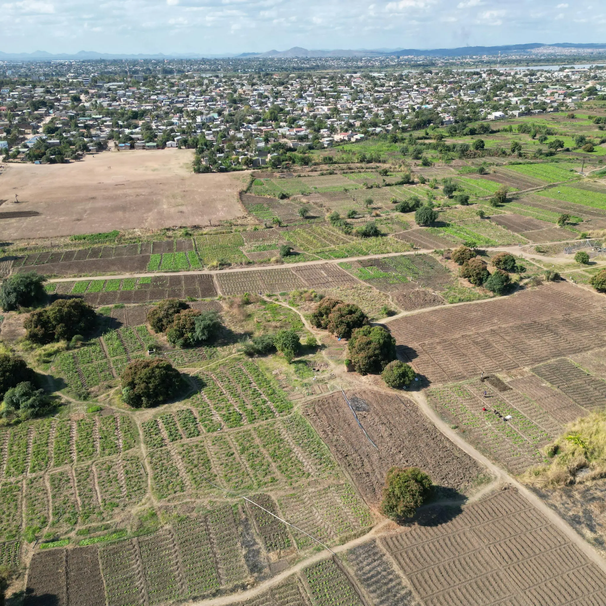 DDJAY Eligibility & Rules: Complete Guide to Who Can Buy DDJAY Plots